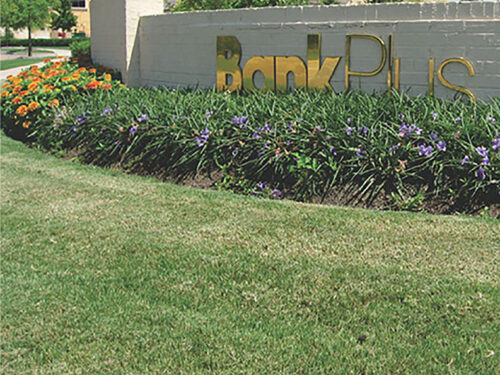 Bank Plus – Ridgeland, MS